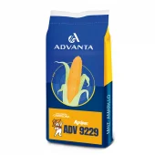 adv-9229