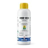 productos-Ember
