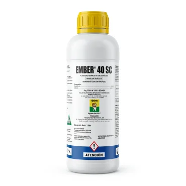 productos-Ember